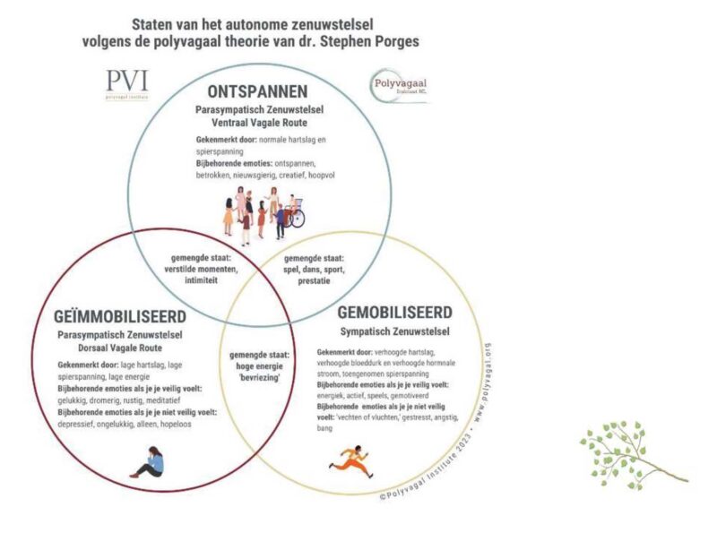 Polyvagaal Therapie – Into Flow®